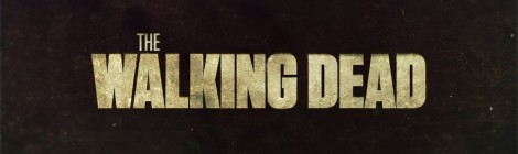 The Walking Dead : des infos sur la série spin-off !