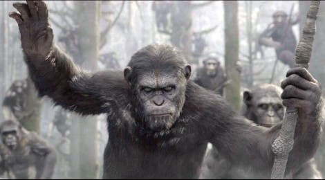 "La planète des singes : l'affrontement", la suite déjà en préparation !