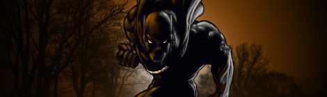 Qui est Black Panther?