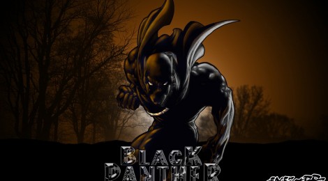 Qui est Black Panther?