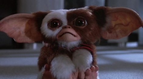 Les Gremlins de retour dans une série animée !